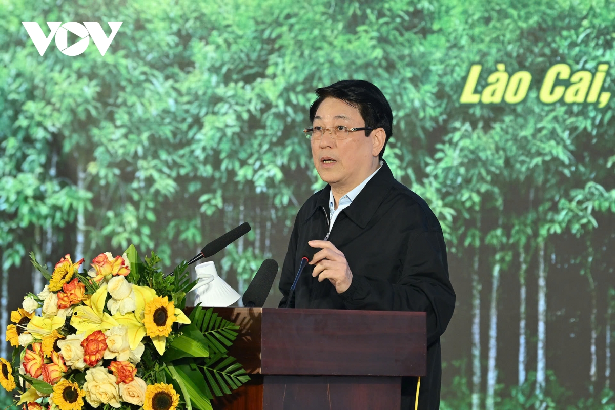 chu tich nuoc luong cuong du le phat dong tet trong cay doi doi nho on bac ho hinh anh 1