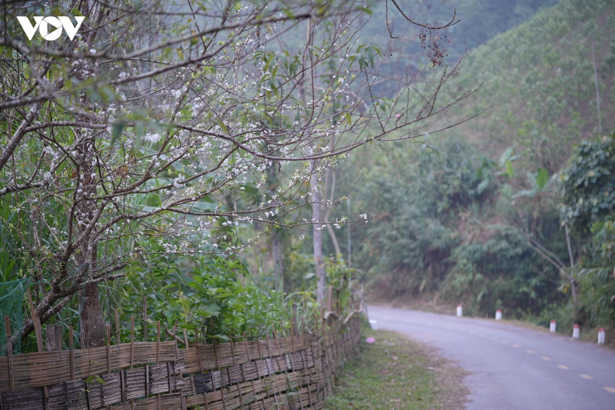 nhung ngoi nha y Dang, long dan am ap nghia tinh o thanh hoa hinh anh 1
