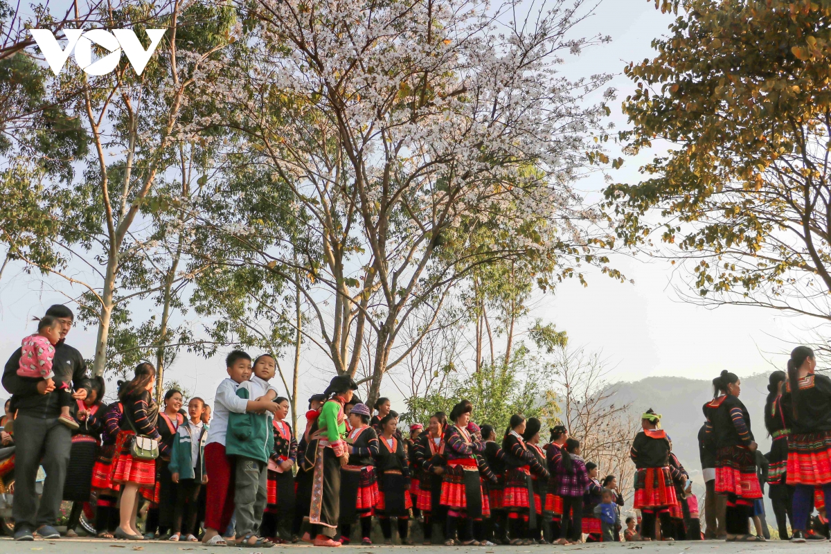 Lễ hội Hoa Ban Điện Biên 2026 hứa hẹn nhiều điểm nhấn mới