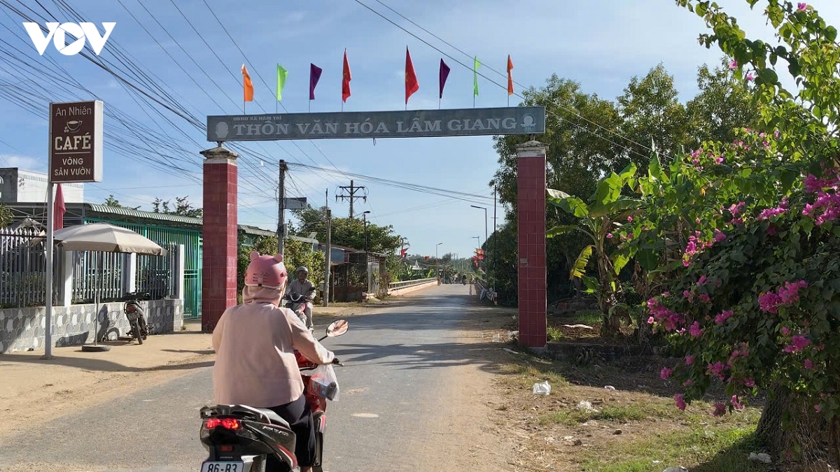 Don xuan o lang cham lam giang hinh anh 2