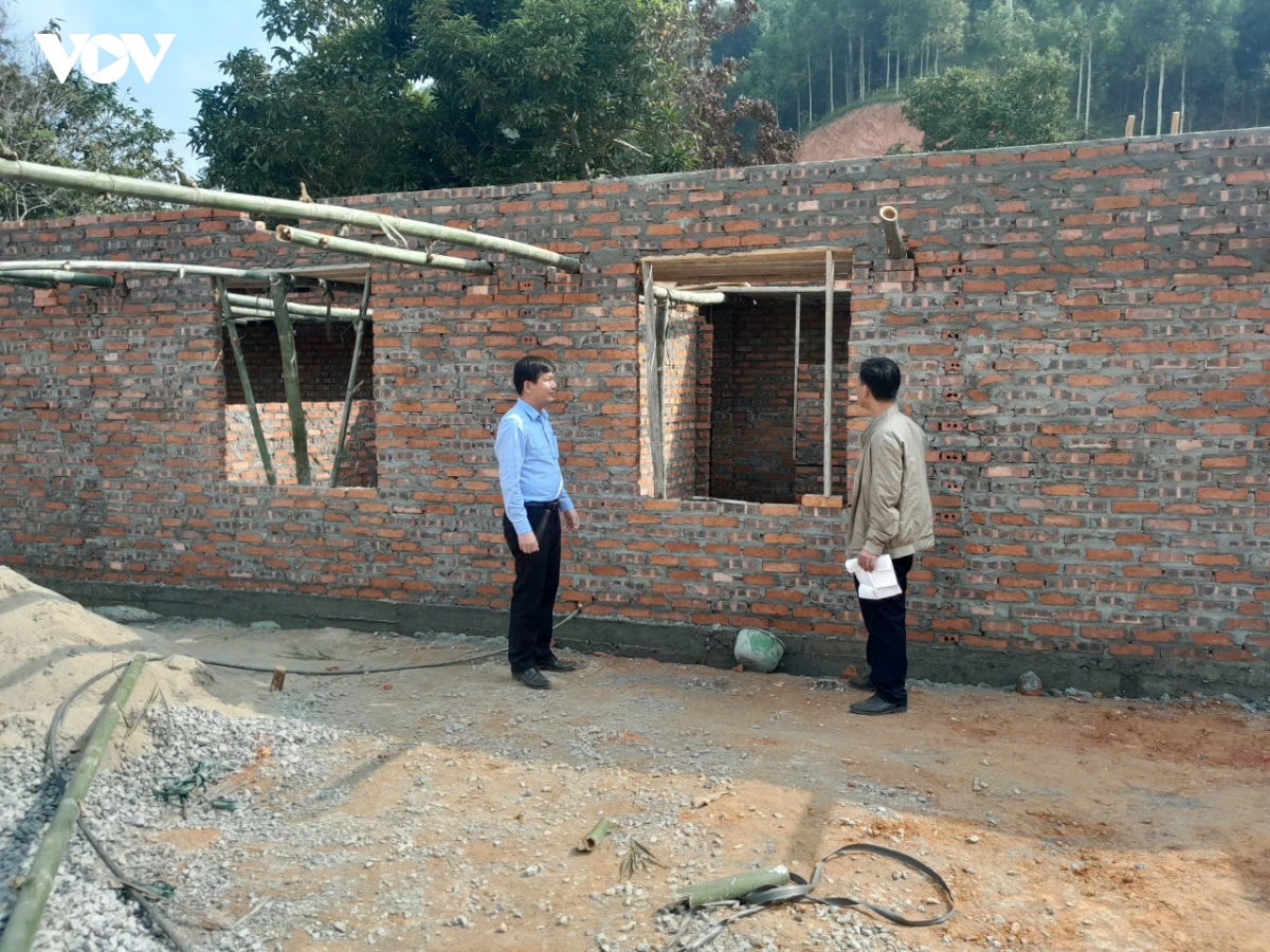 vung lu viet hong don xuan sang hinh anh 3