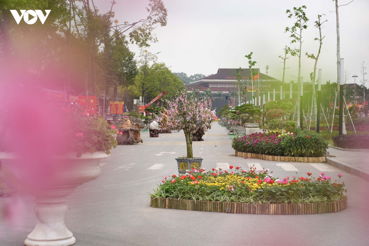 Duong hoa xuan kinh bac, bac ninh thu hut khach dip tet binh ngo 2026 hinh anh 5