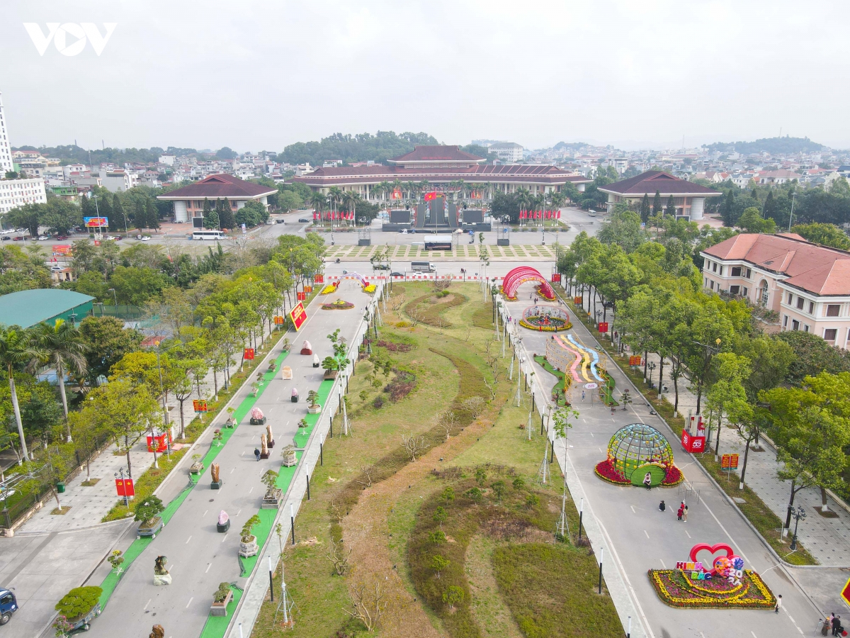Duong hoa xuan kinh bac, bac ninh thu hut khach dip tet binh ngo 2026 hinh anh 14