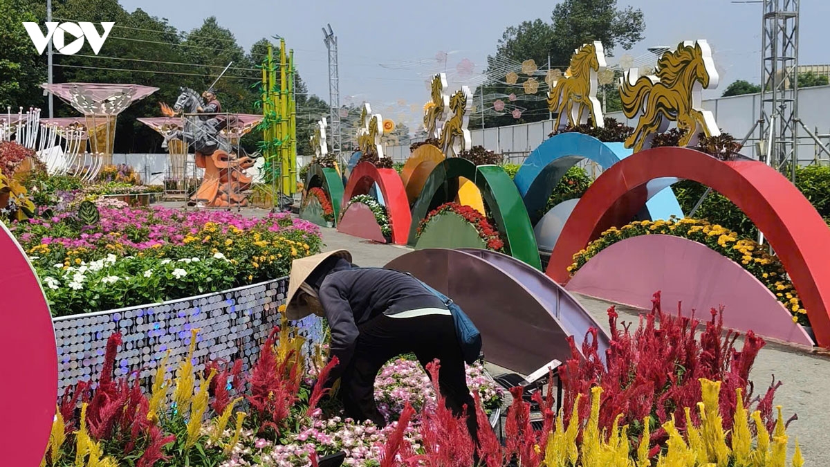 linh vat tai duong hoa thanh pho moi binh duong lo dien hinh anh 9
