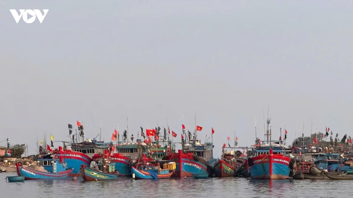 nhung tau ca ruc ro sac xuan tai ben cang tinh khe ngay cuoi nam hinh anh 10