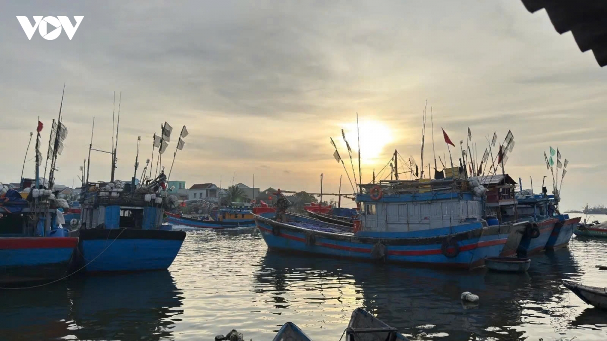 nhung tau ca ruc ro sac xuan tai ben cang tinh khe ngay cuoi nam hinh anh 11