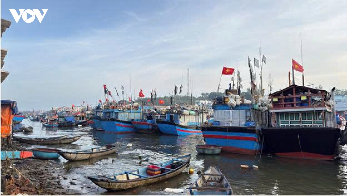 nhung tau ca ruc ro sac xuan tai ben cang tinh khe ngay cuoi nam hinh anh 12