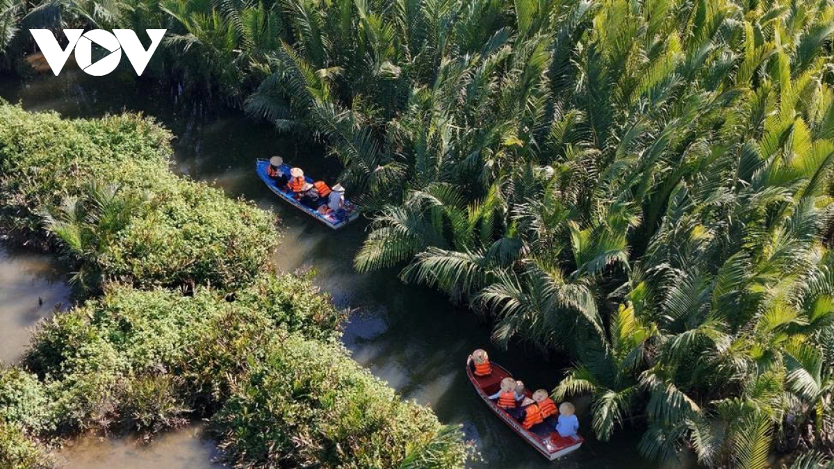 Du xuân rừng dừa nước Tịnh Khê: Trải nghiệm miền xanh giữa lòng di sản