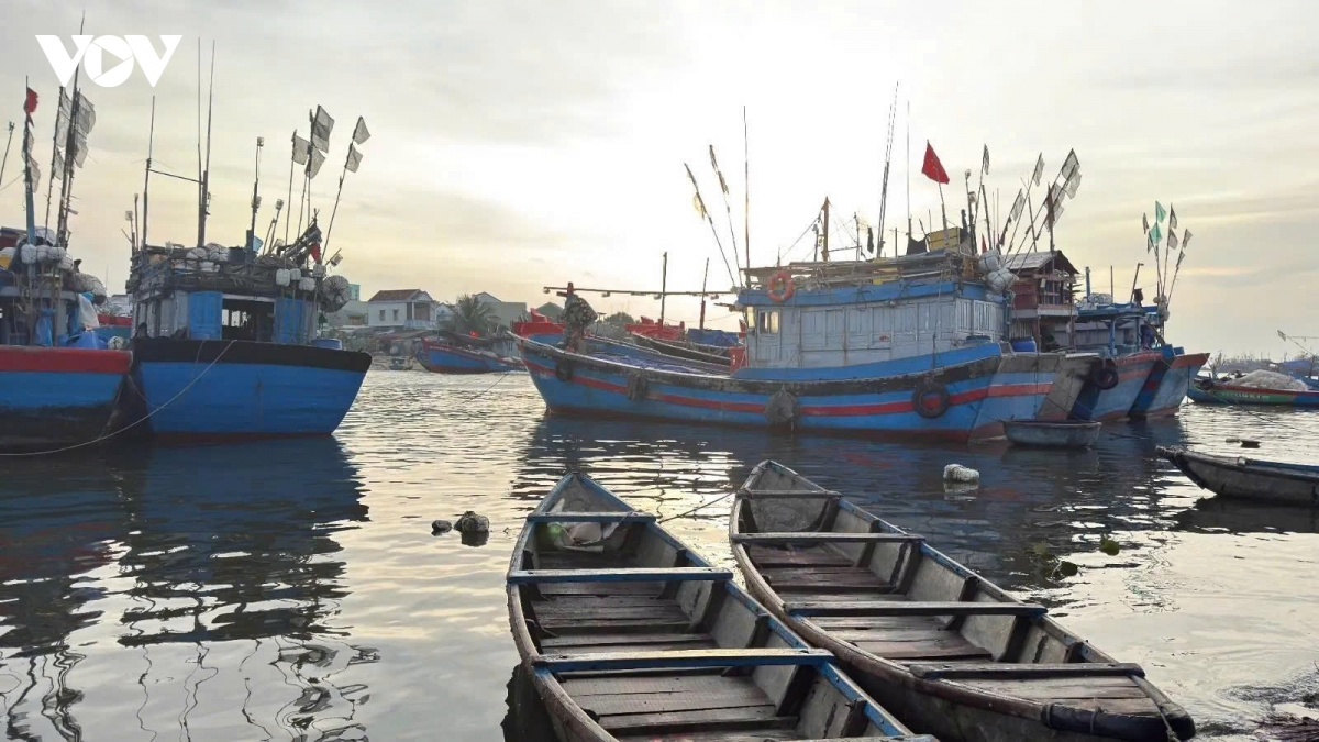 nhung tau ca ruc ro sac xuan tai ben cang tinh khe ngay cuoi nam hinh anh 13