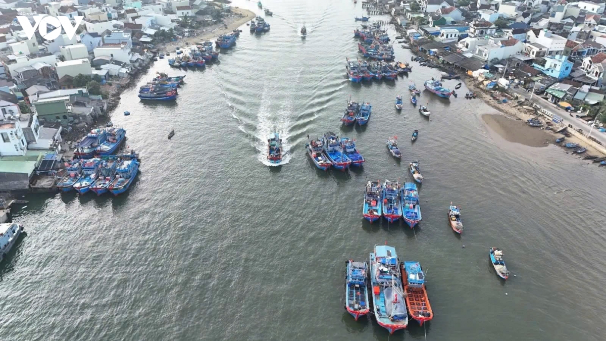 nhung tau ca ruc ro sac xuan tai ben cang tinh khe ngay cuoi nam hinh anh 1