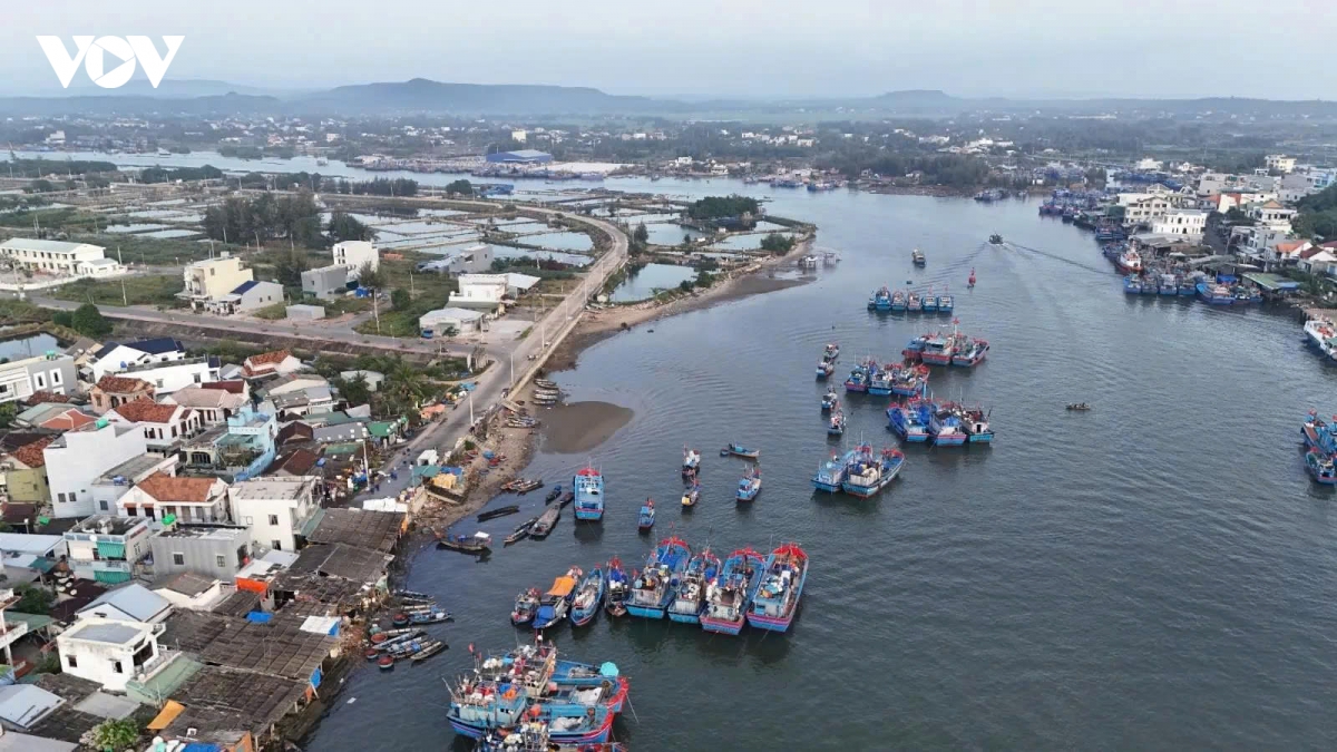 nhung tau ca ruc ro sac xuan tai ben cang tinh khe ngay cuoi nam hinh anh 2