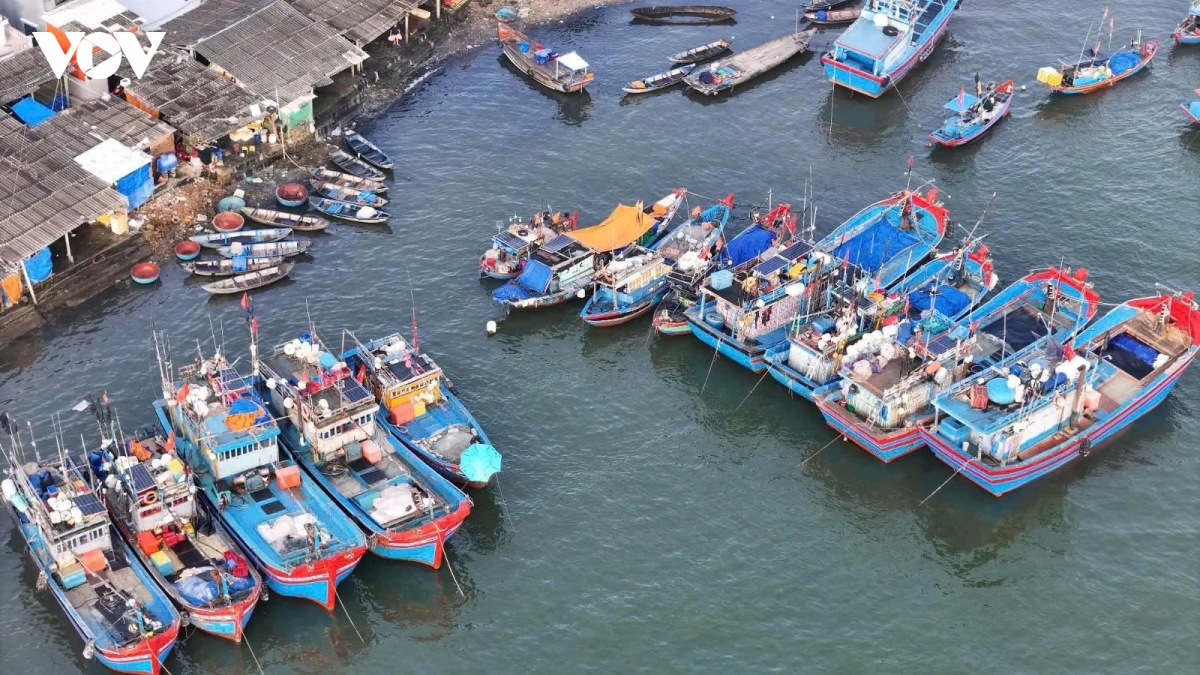 nhung tau ca ruc ro sac xuan tai ben cang tinh khe ngay cuoi nam hinh anh 3