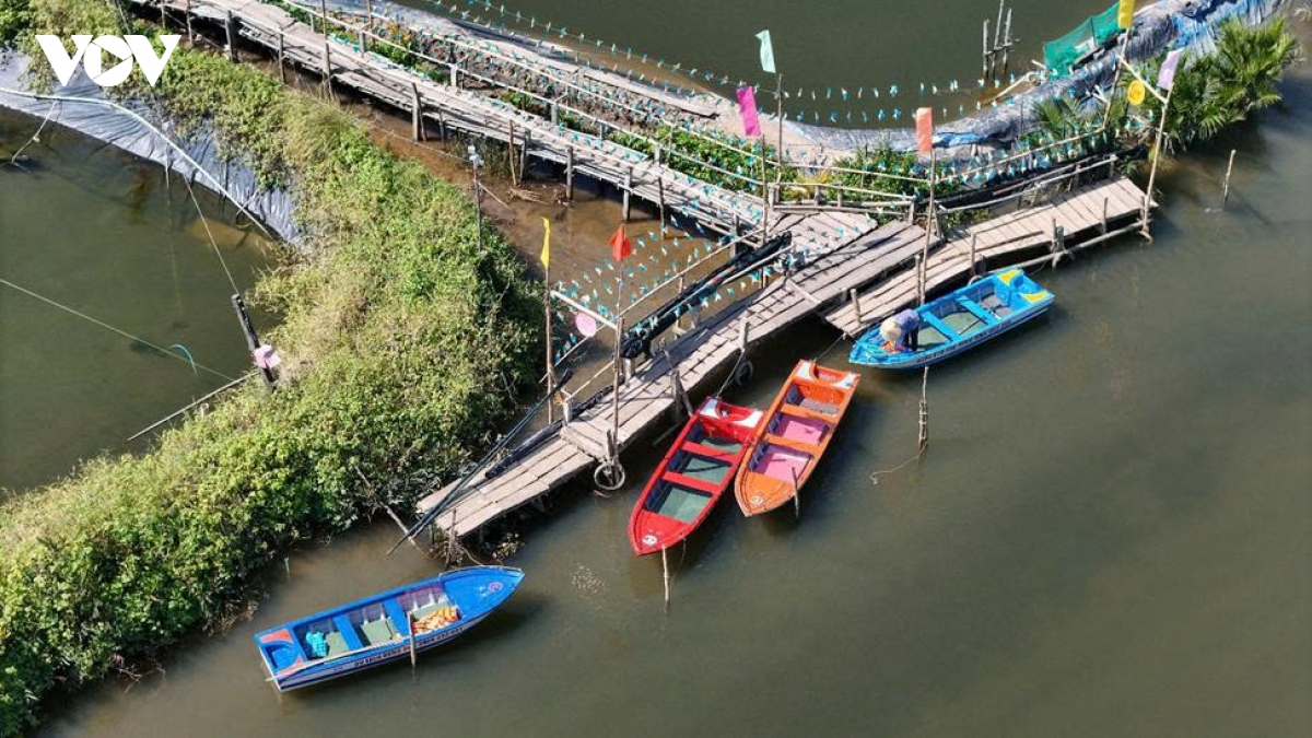 du xuan rung dua nuoc tinh khe trai nghiem mien xanh giua long di san hinh anh 4