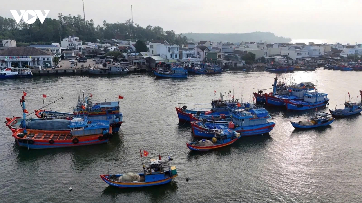 nhung tau ca ruc ro sac xuan tai ben cang tinh khe ngay cuoi nam hinh anh 4
