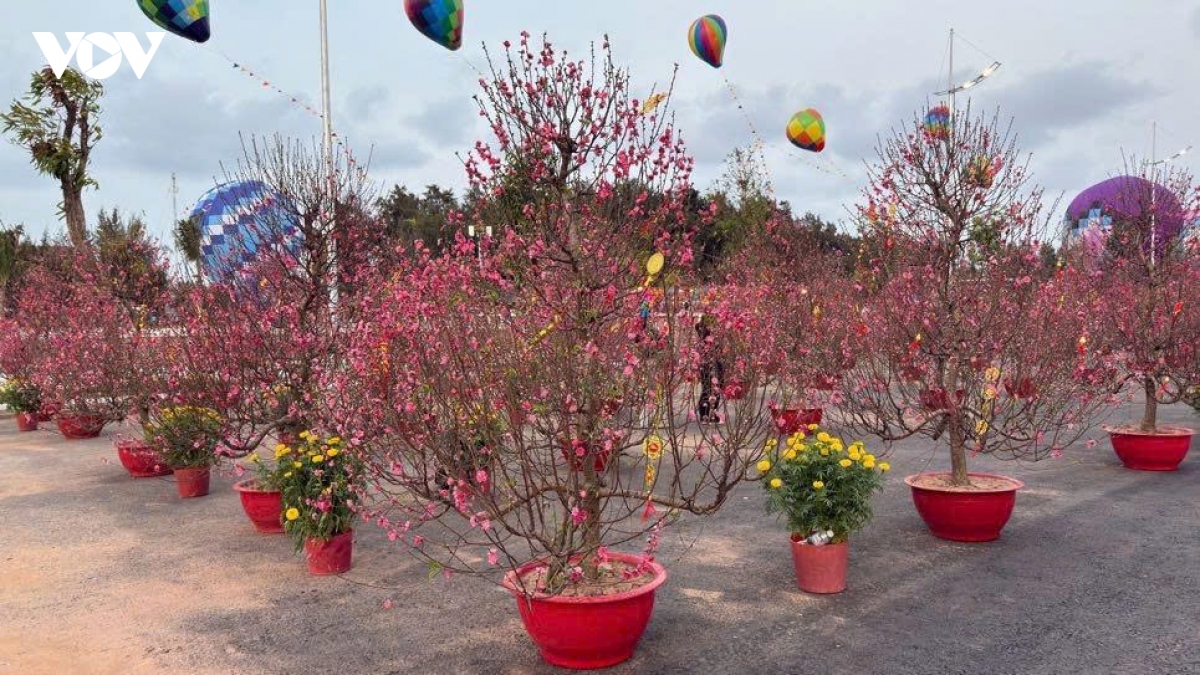 ron rang le hoi chao xuan o vinhomes green paradise can gio hinh anh 6
