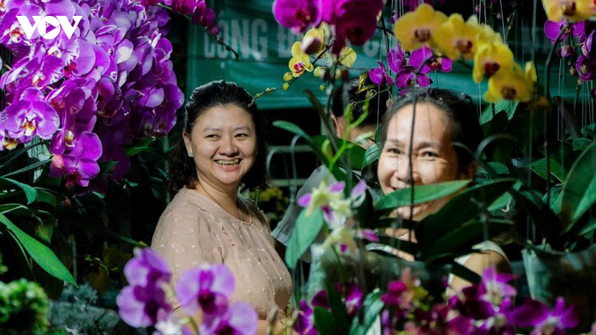 vinh long dong nguoi do ve trung tam ngam phao hoa hinh anh 5