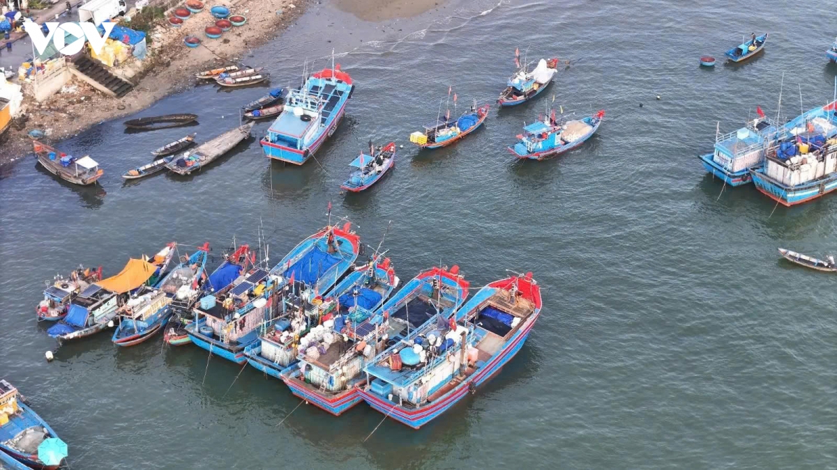 nhung tau ca ruc ro sac xuan tai ben cang tinh khe ngay cuoi nam hinh anh 5