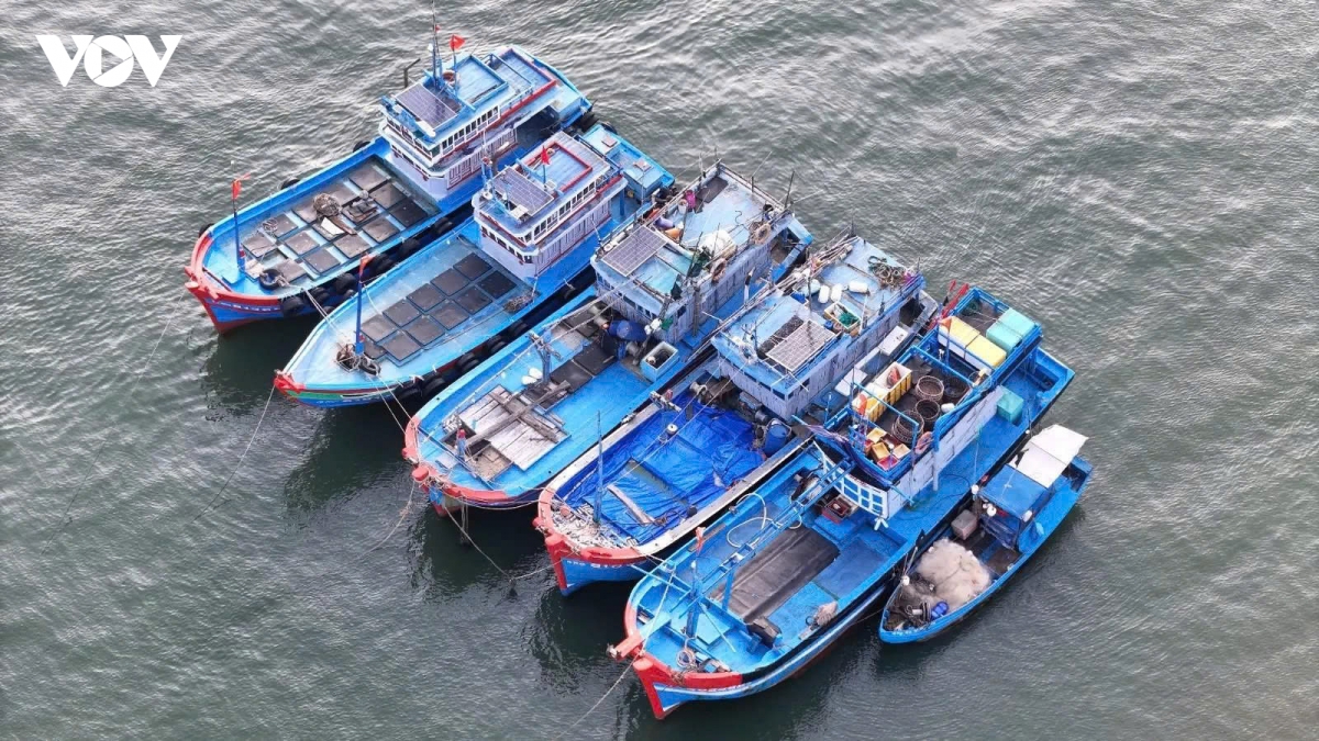 nhung tau ca ruc ro sac xuan tai ben cang tinh khe ngay cuoi nam hinh anh 6
