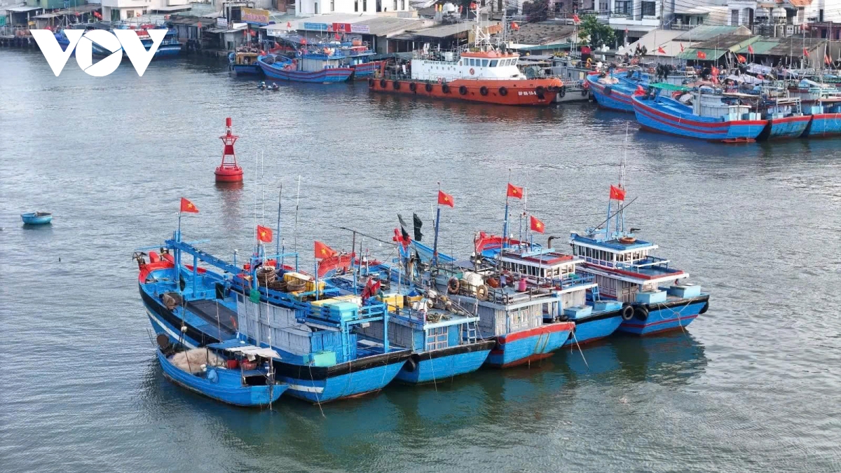 Những tàu cá rực rỡ sắc xuân tại bến cảng Tịnh Khê ngày cuối năm