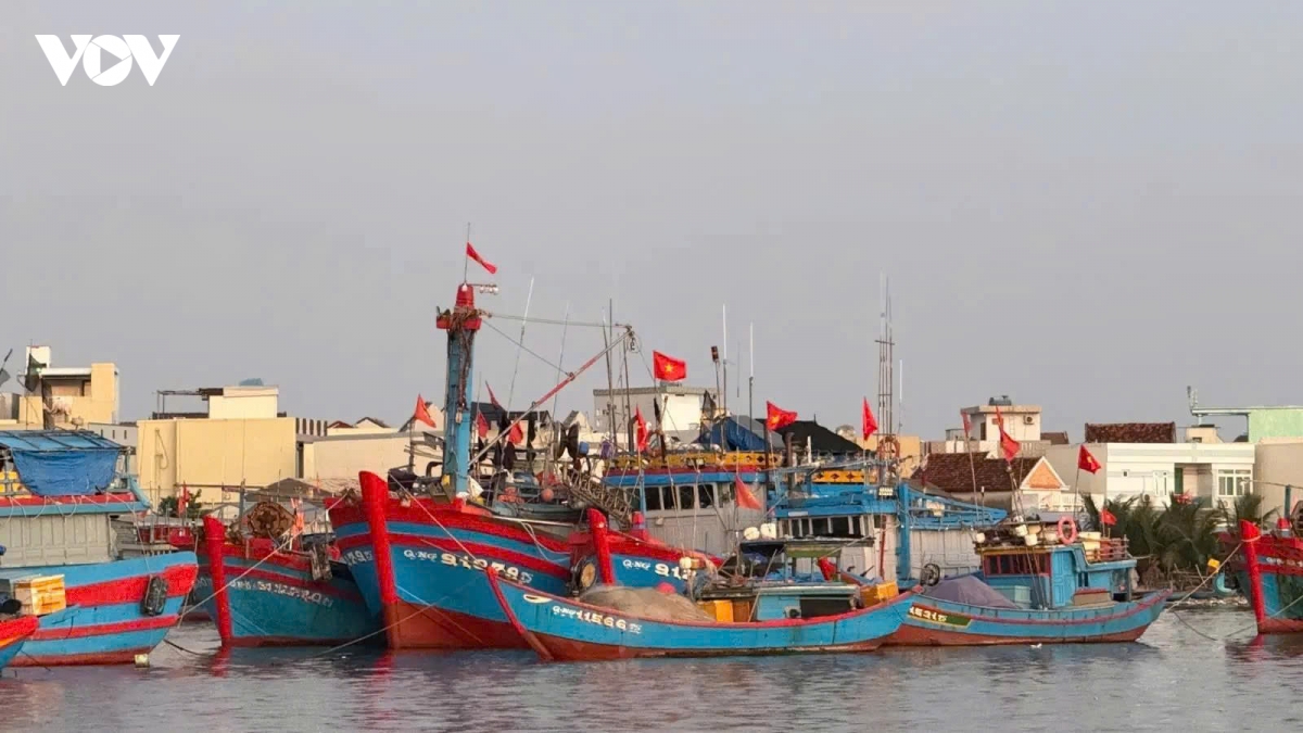 nhung tau ca ruc ro sac xuan tai ben cang tinh khe ngay cuoi nam hinh anh 9