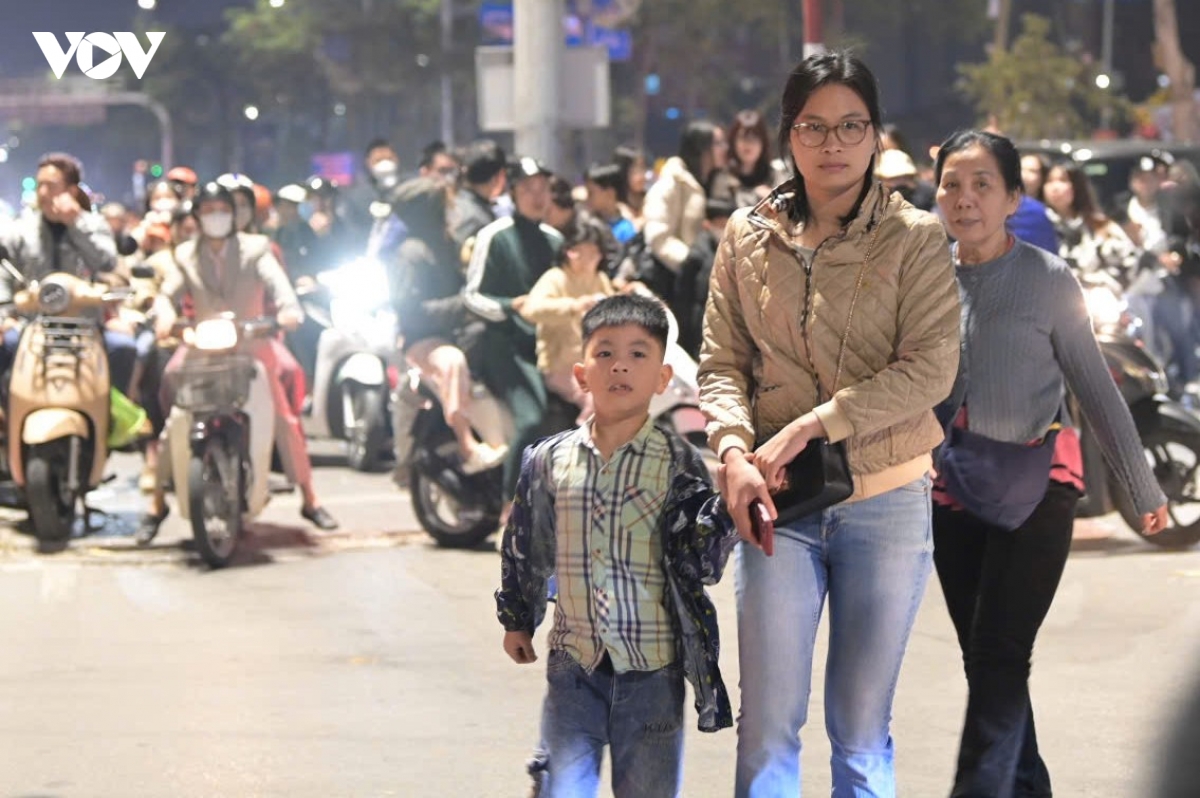 ha noi ruc ro phao hoa mung nam moi binh ngo 2026 hinh anh 15