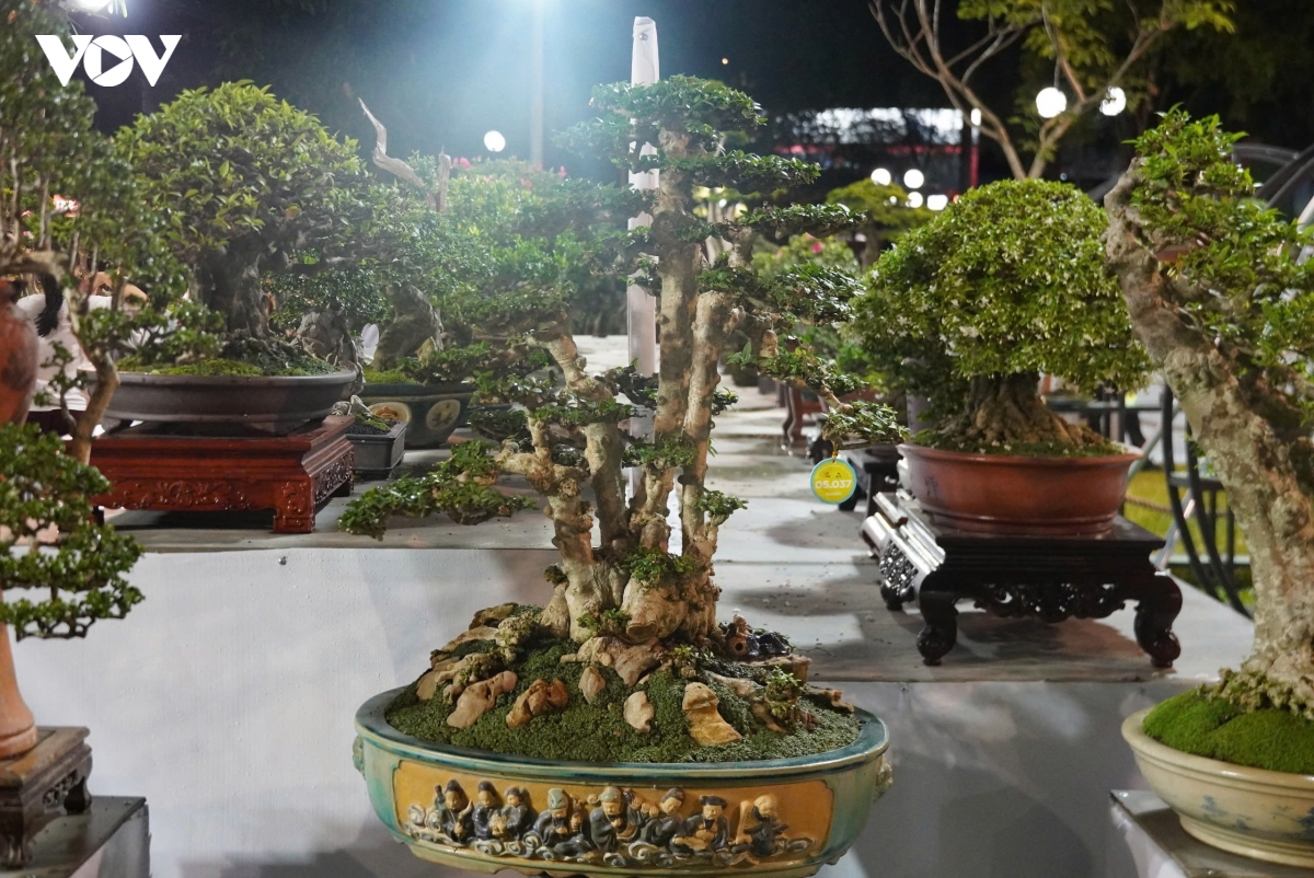 cay canh nghe thuat, bo suu tap hoa thu hut nguoi dan den hoi hoa xuan tp.hcm hinh anh 7