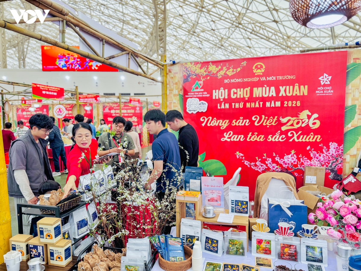 cac hoat dong van hoa khuay dong hoi cho mua xuan 2026 dip cuoi tuan hinh anh 5