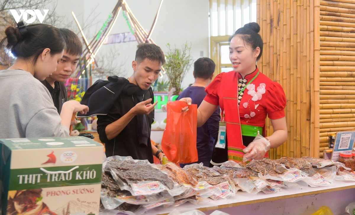 du xuan xuyen viet khong muon ve o hoi cho mua xuan 2026 hinh anh 20