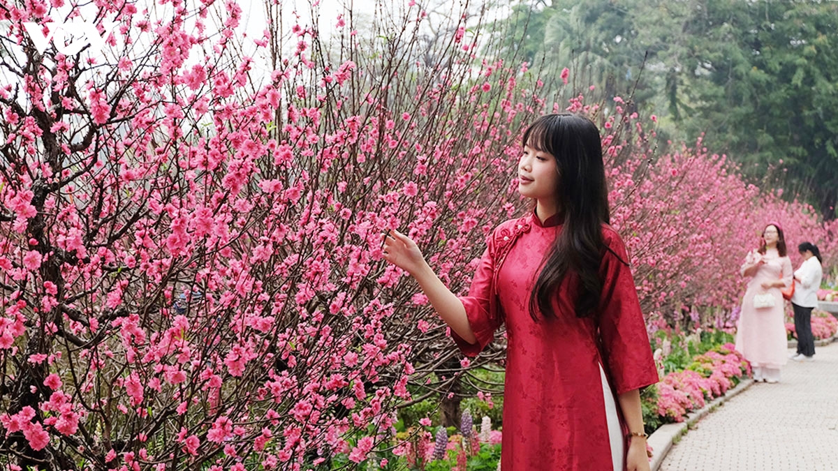 ruc ro khong gian hoa xuan tai vuon hoa ly thai to ben ho hoan kiem hinh anh 16