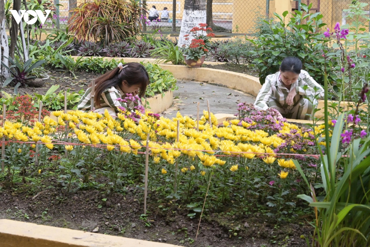cham lo tet trong trai giam xuan nguyen de pham nhan co them dong luc cai tao hinh anh 3