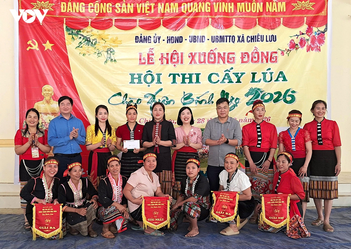 nong dan vung cao nghe an thi cay lua hinh anh 3