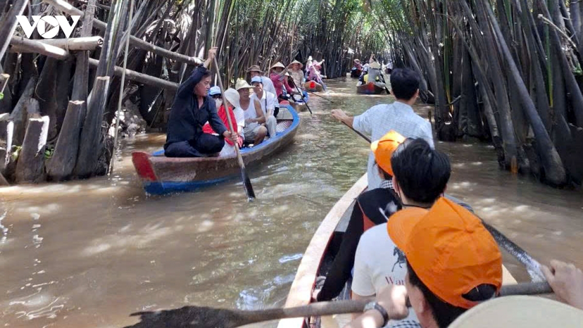 luong khach du lich den Dong thap tang cao dip tet binh ngo hinh anh 3