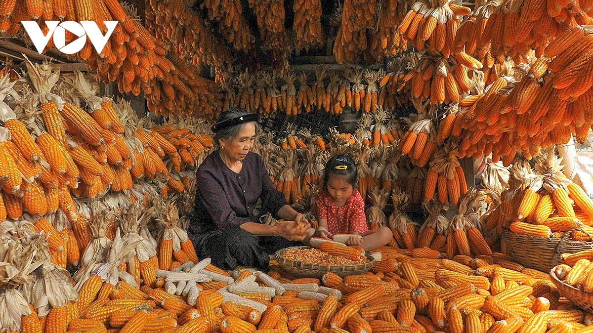 Tet in Quynh Son, dem weltweit besten Dorf für Gemeinschaftstourismus (Bild 3).