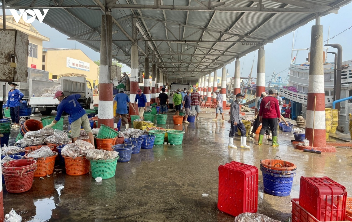 ngu dan vung bien tp.hcm don tet dau tien o sieu do thi hinh anh 4