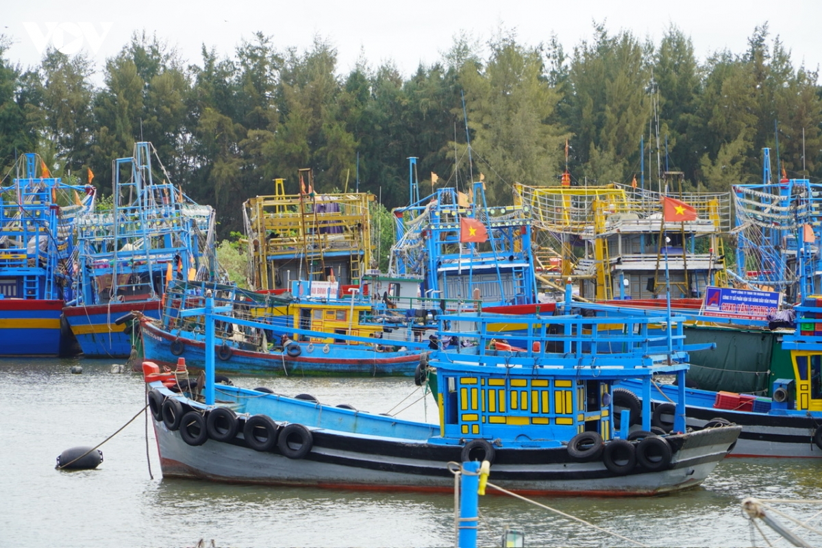ngu dan vung bien tp.hcm don tet dau tien o sieu do thi hinh anh 2