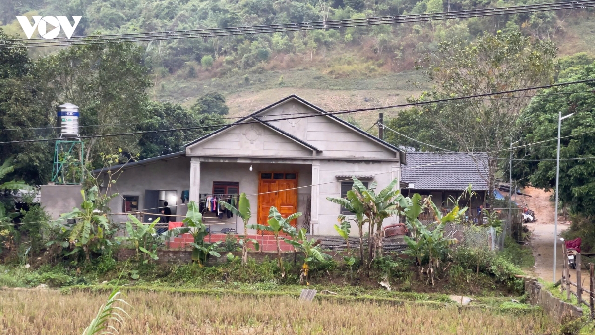 xuan am tu nhung mai nha hinh anh 2