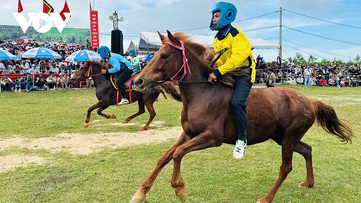 Rộn ràng vó ngựa tại Lễ hội truyền thống đua ngựa Gò Thì Thùng xuân Bính Ngọ