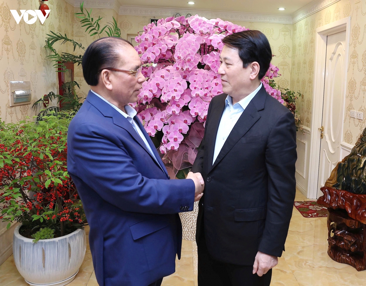 chu tich nuoc luong cuong chuc tet nguyen tong bi thu nong Duc manh hinh anh 1