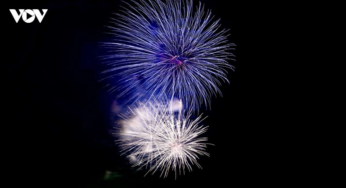 ha noi ruc ro phao hoa mung nam moi binh ngo 2026 hinh anh 9