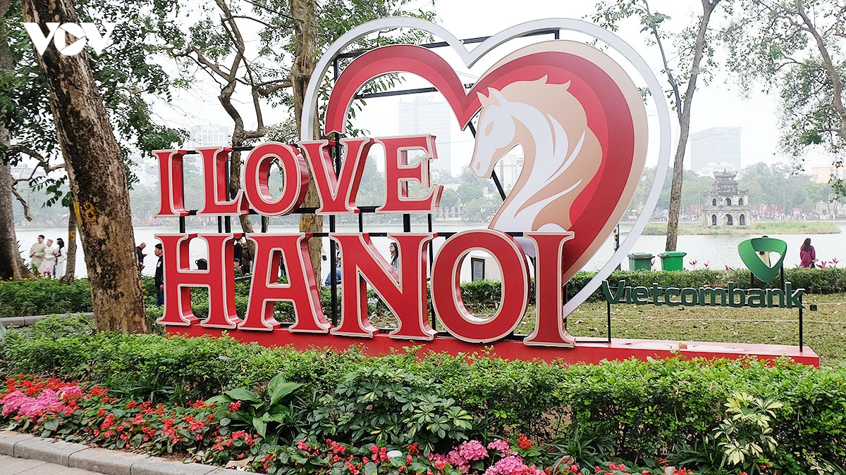 ha noi ruc ro co hoa ngay truoc tet nguyen dan binh ngo 2026 hinh anh 8