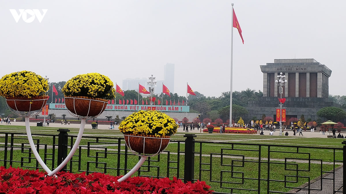 ha noi ruc ro co hoa ngay truoc tet nguyen dan binh ngo 2026 hinh anh 13
