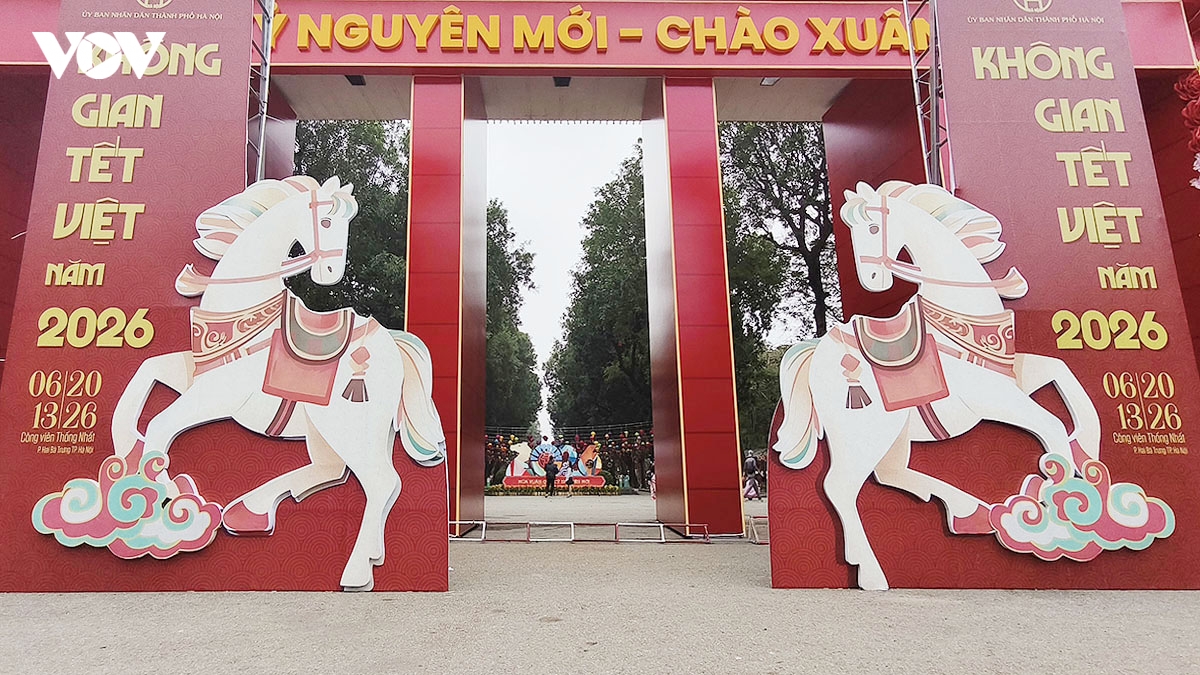 ha noi ruc ro co hoa ngay truoc tet nguyen dan binh ngo 2026 hinh anh 11
