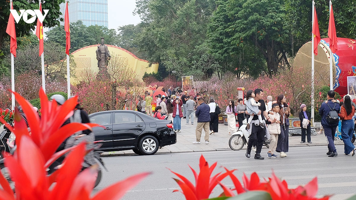 ha noi ruc ro co hoa ngay truoc tet nguyen dan binh ngo 2026 hinh anh 1