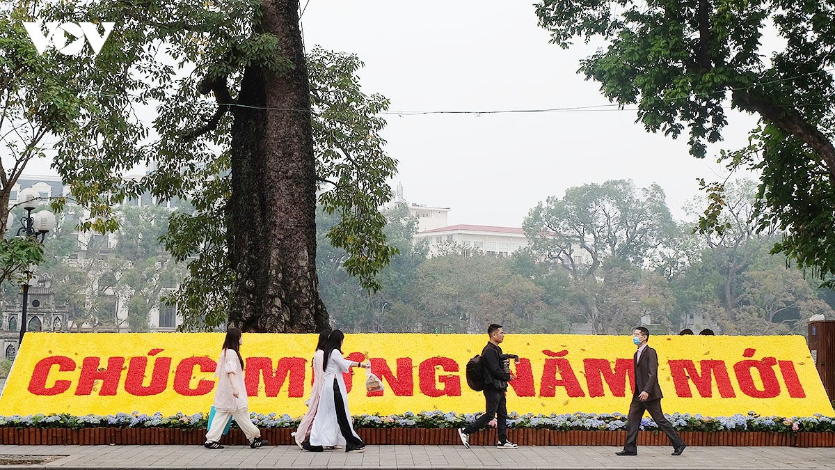 ha noi ruc ro co hoa ngay truoc tet nguyen dan binh ngo 2026 hinh anh 5