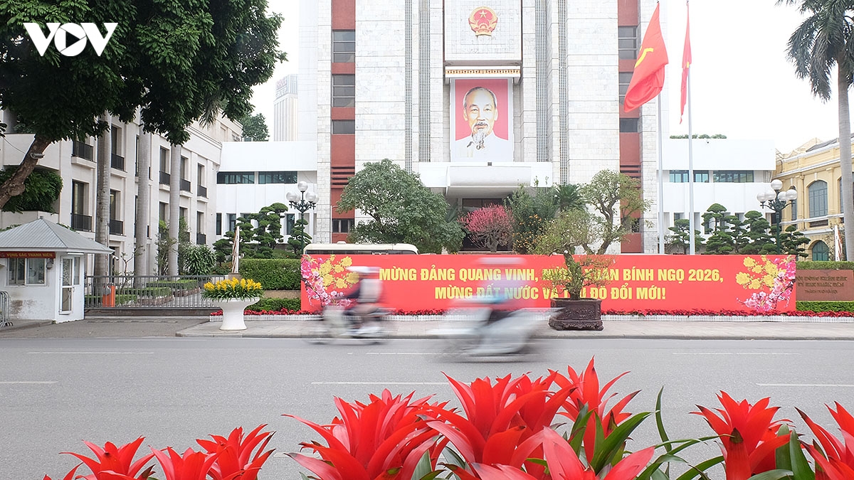 ha noi ruc ro co hoa ngay truoc tet nguyen dan binh ngo 2026 hinh anh 6