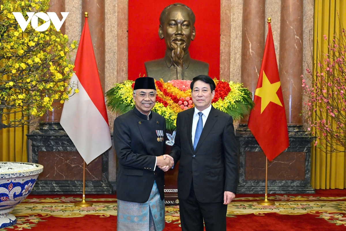 vietnam looks to boost ties with indonesia, philippines picture 1