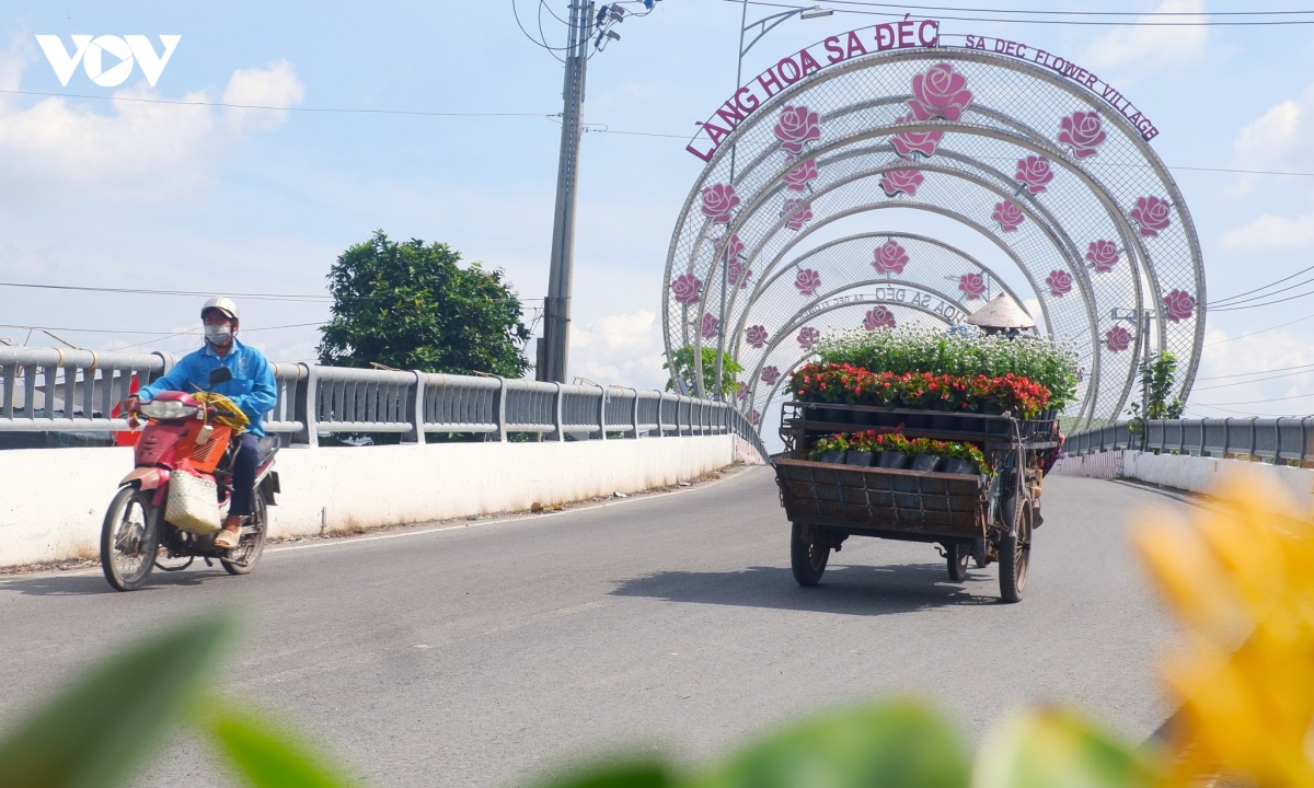 Dau xuan ve sa Dec cam nhan tinh dat, tinh nguoi hinh anh 3