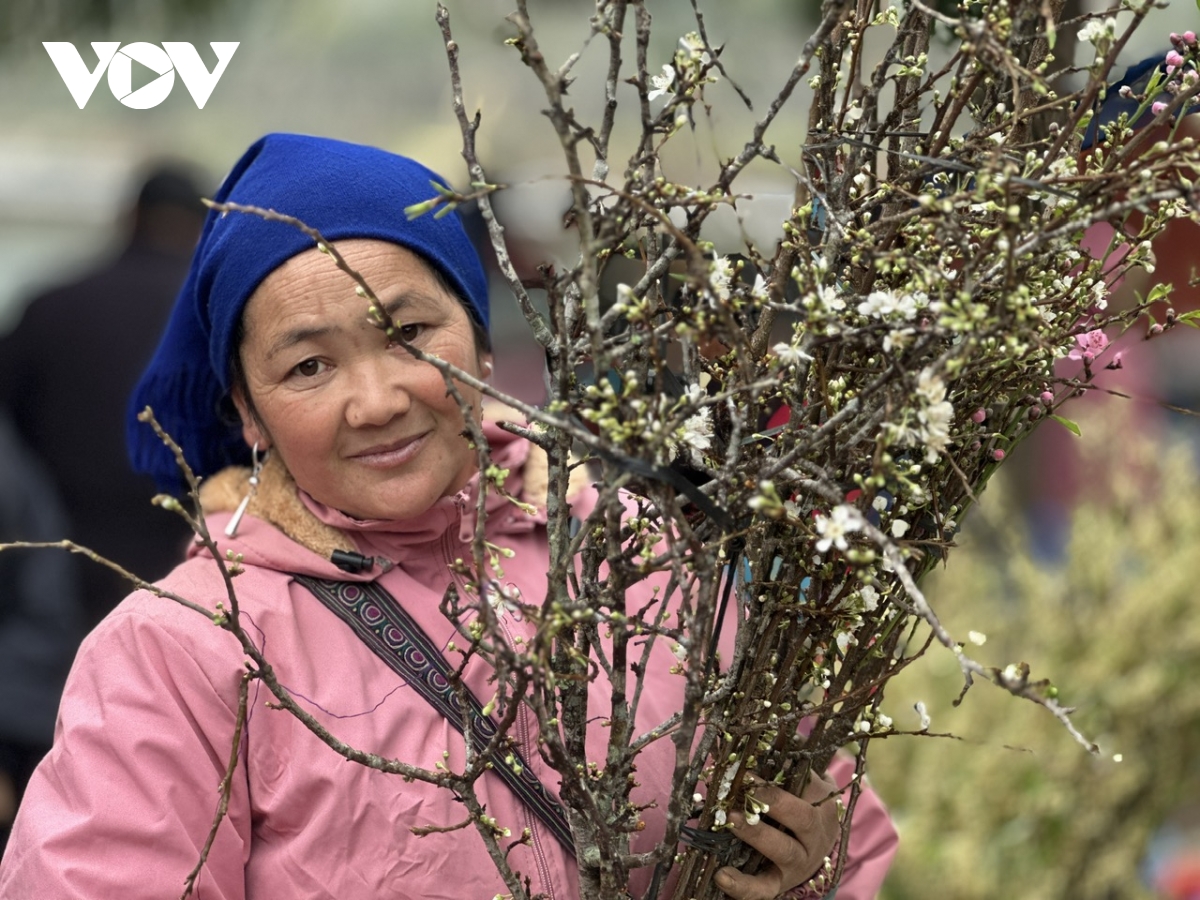 Phiên chợ Bắc Hà giáp Tết: Đào rừng, mận trắng hút khách