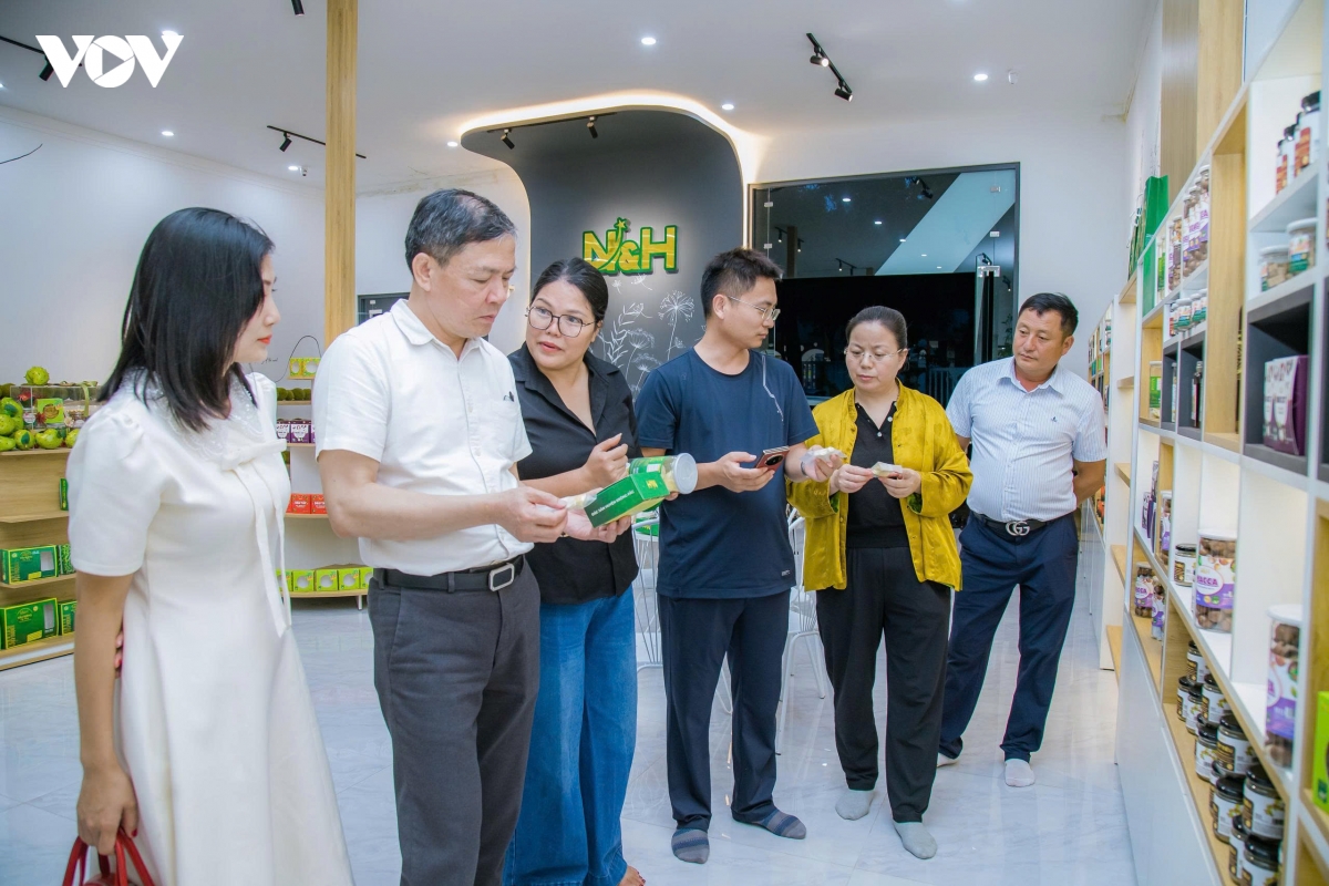 Dak lak dua dac san vao khay qua tet hinh anh 1