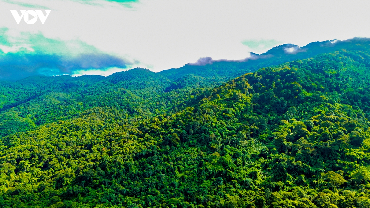 ngan ngo truoc ve dep cua ta Dung, diem den phai ghe mot lan trong doi hinh anh 18